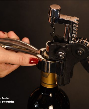 Set Profesional de Vinos